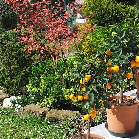 Dear Venice Marghera