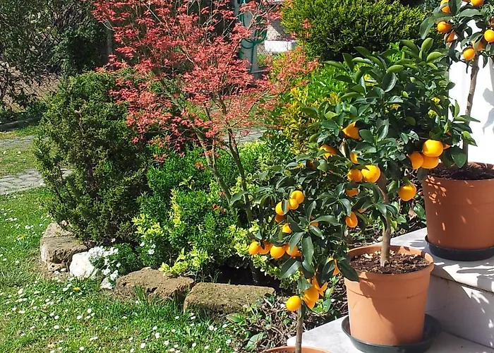 Dear Venice Marghera