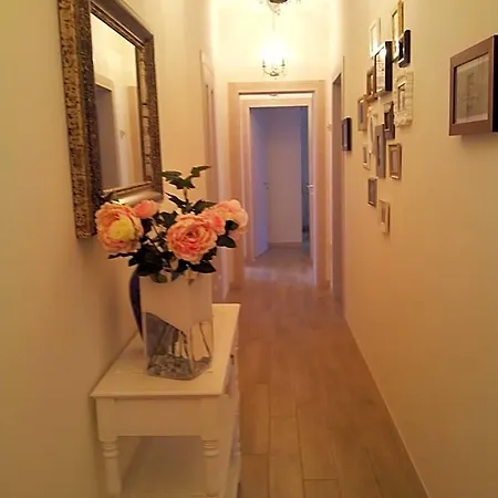 Dear Venice Marghera