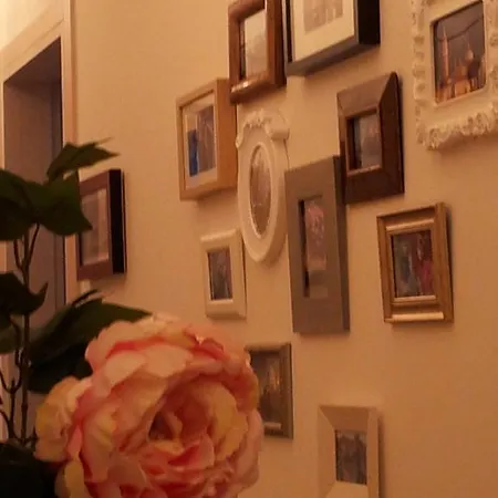 Dear Venice Bed & Breakfast Marghera