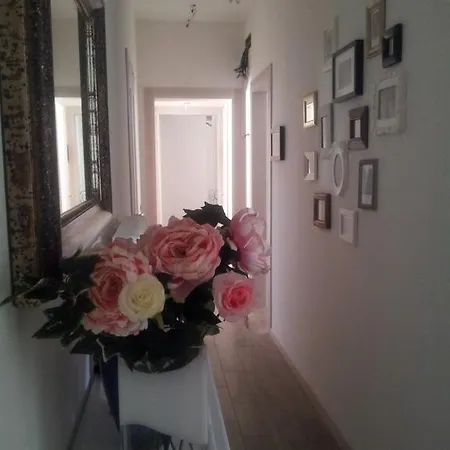 Dear Venice Marghera