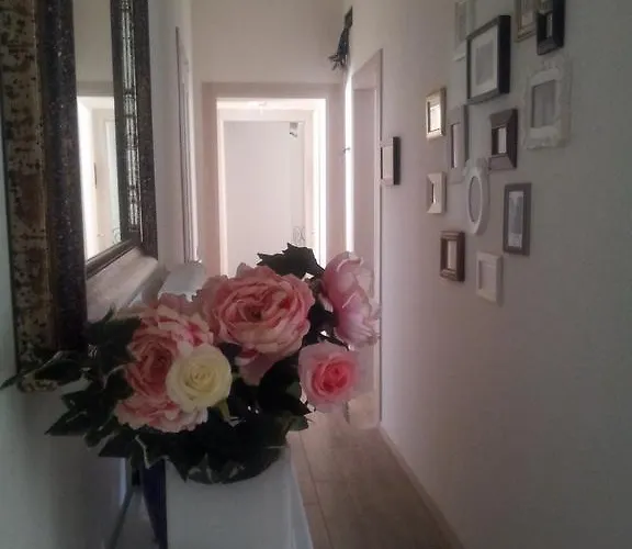 Dear Venice Marghera